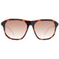 Brown Unisex Sunglass