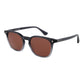 Gray Men Sunglass